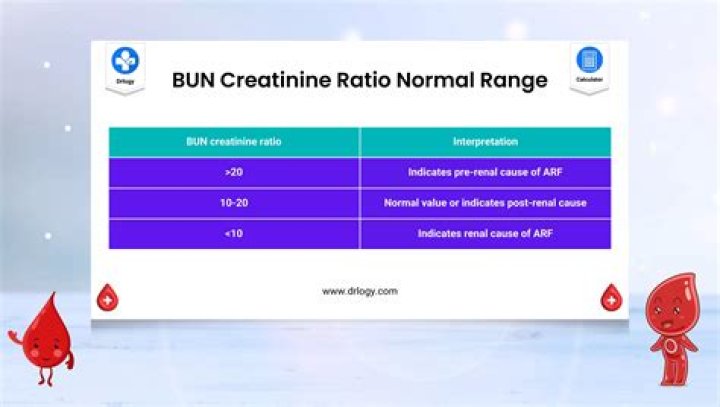 normal bun creatinine ratio